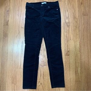 Loft Size 4 Modern Skinny Mid Rise Deep Navy Velvet Pants Whiskered Holiday Work